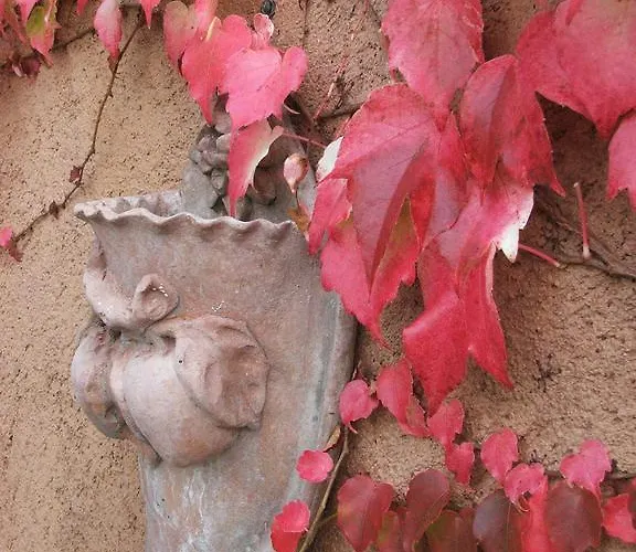 Podeželska hiša Istria Divina