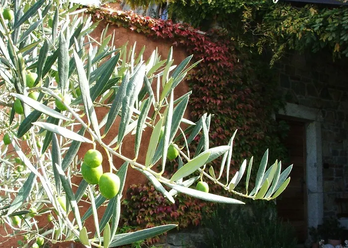 Istria Divina מארזיגה